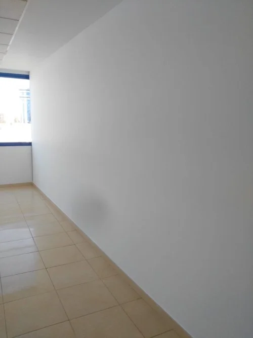 Paredes Lisas Blancas en la Oficina del Edificio Vilamar, Sevilla